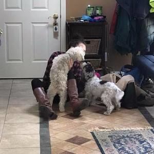 Meet your Posher, Gabi